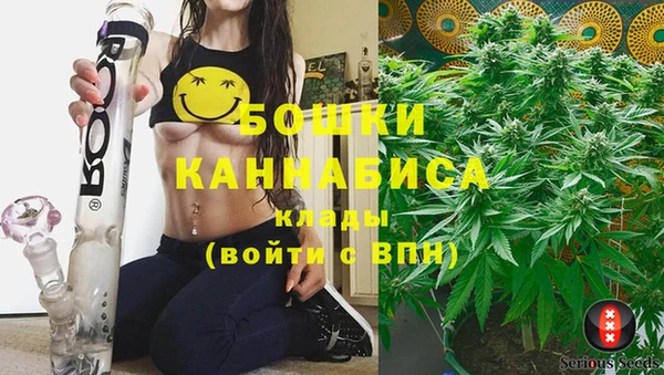 винт Осташков