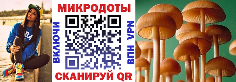 купить наркотик Плёс Псилоцибиновые грибы Magic Shrooms
